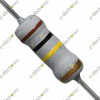 1 Ohm 1W 5% Carbon Film Fixed Resistor