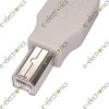 USB Type B Plug