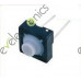 Tact 5mm long Water Proof
