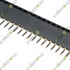 40 Pin Right Angle Single Row Female Header (2.54mm Pitch) HQ
