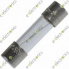 2A Fast Blow Glass Tube Fuses BGXP 250V 5x20mm