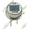 D203B Dual Element Pyroelectric Infrared Radial Sensor PIR