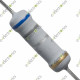 2W (+- 5%) Carbon Film Fixed Resistor 