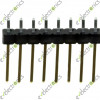 40 Pin Single Row Male Header 15mm (2.54mm Pitch)