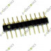 40 pin Male Header Golden