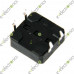 Tactile Tact Push Button Switch 12x12x4.3mm 4-Pin Tactile Tact Push Button Switch 12x12x4.3mm 4-Pin